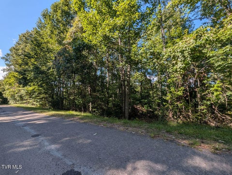 Vacant Land For Sale - TBD Deer Creek Xing<br/> Mountain City, TN 37683