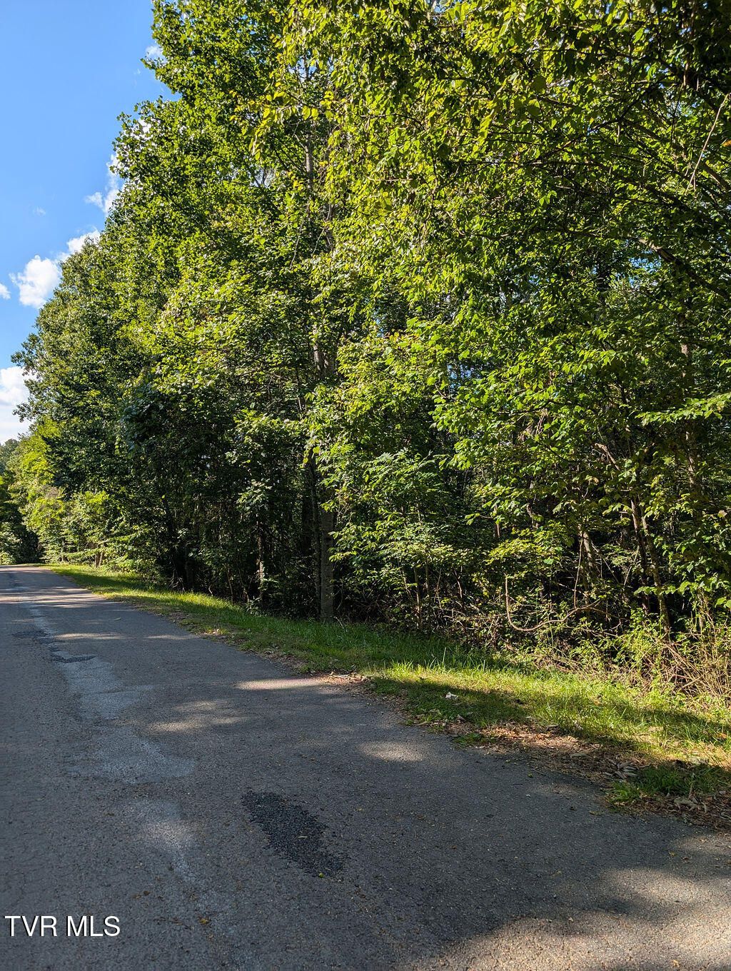 Photo of Tbd Deer Creek Xing, Mountain City, TN 37683 (MLS # 9985560)