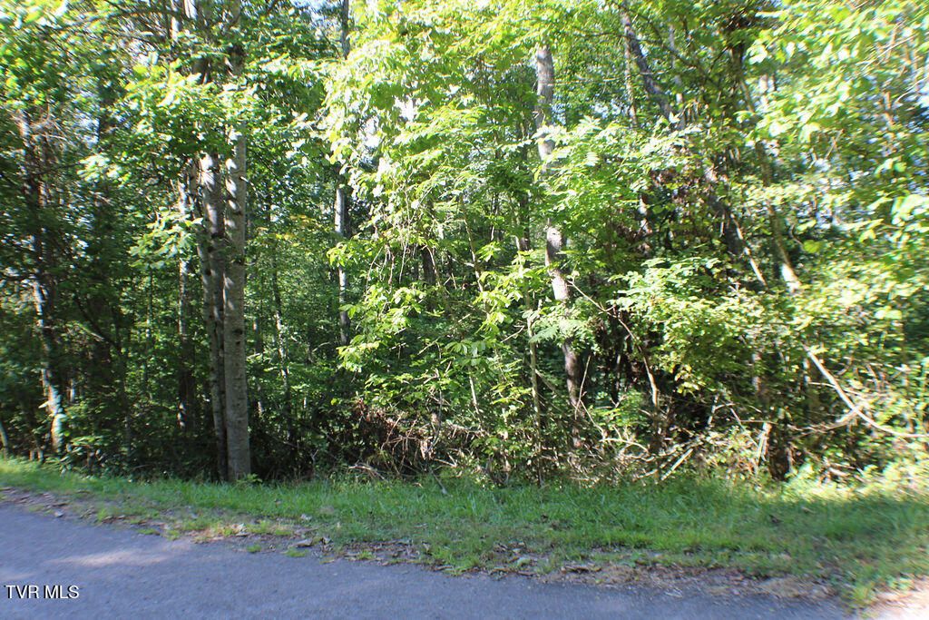 Photo of Tbd Deer Creek Xing, Mountain City, TN 37683 (MLS # 9985560)