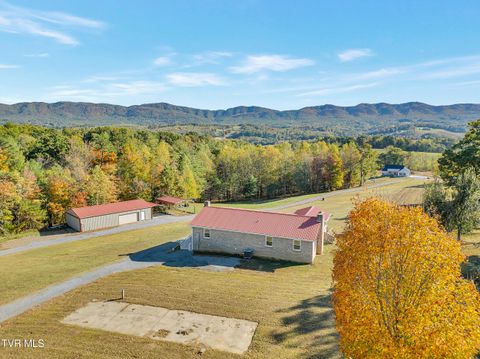 Photo of 7335 Cedar Creek Road, Greeneville, TN 37743 (MLS # 9987804)