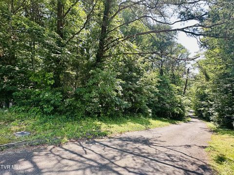 Vacant Land For Sale - Idlewylde Circle<br/> Washington County County, Johnson City, TN 37601