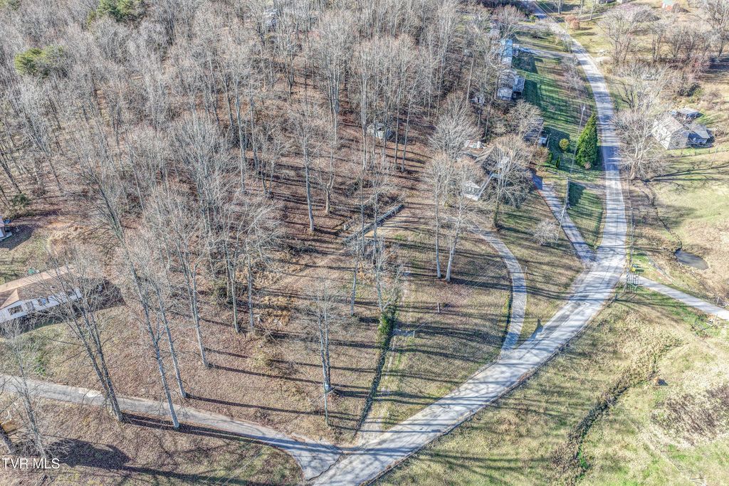 Photo of 337 Johnson Cemetery Road #Lot 14, Blountville, TN 37617 (MLS # 9988829)