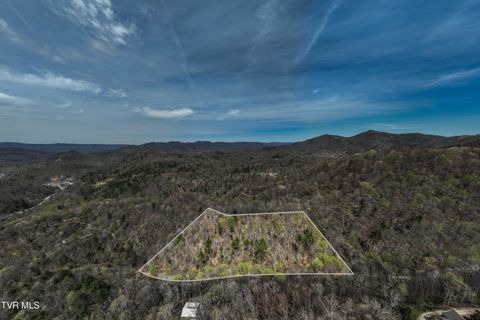 Vacant Land For Sale - TBD Culbertson Lane<br/> Johnson County, Mountain City, TN 37683