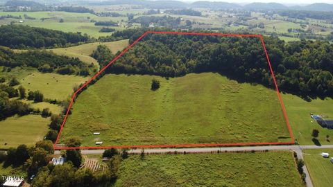 Vacant Land For Sale - Old Snapps Ferry Road<br/> Chuckey, TN 37641