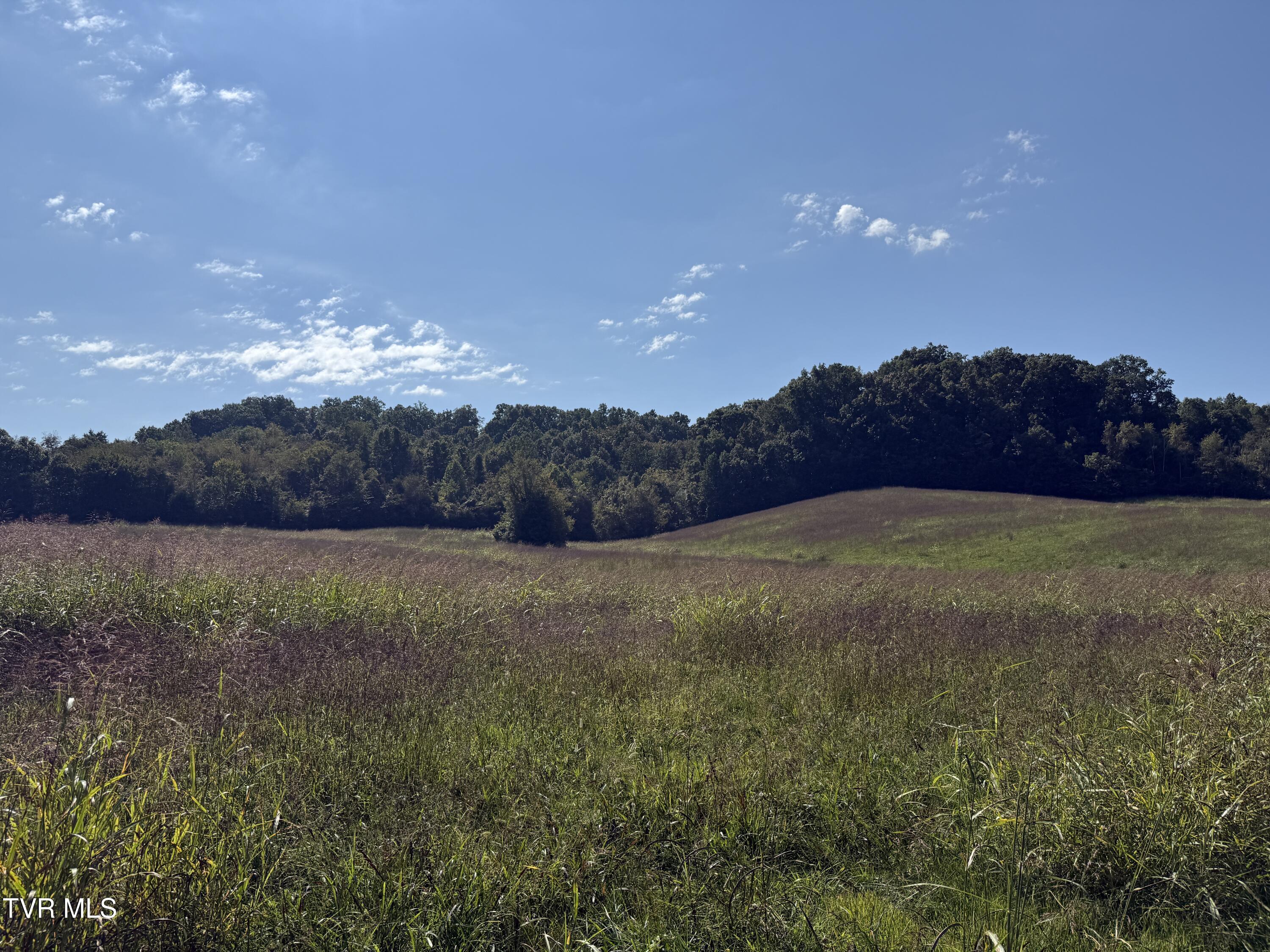 0 Old Snapps Ferry Road