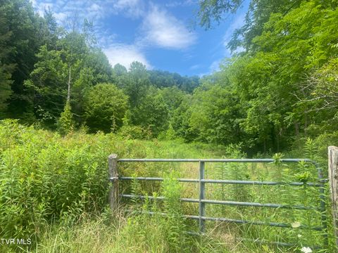 Vacant Land For Sale - 638 Old Hwy 143<br/> Roan Mountain, TN 37687