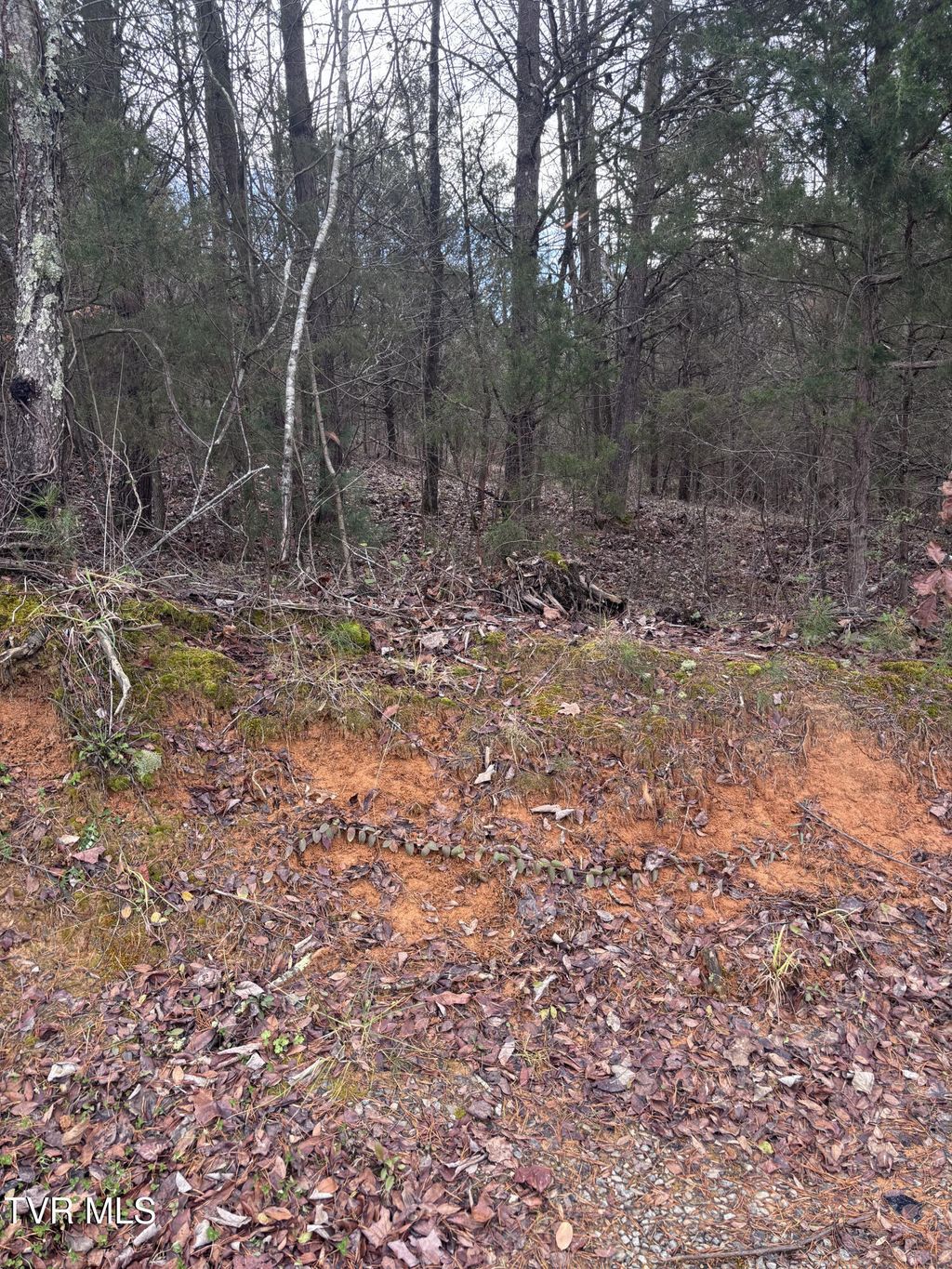 Photo of 201 Happy Valley Road, Johnson City, TN 37601 (MLS # 9989151)