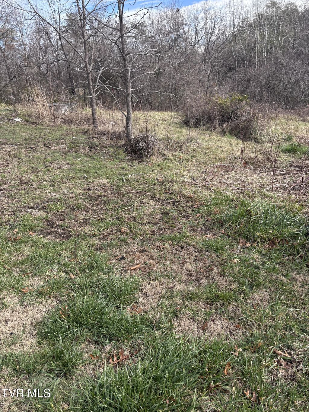 Photo of 201 Happy Valley Road, Johnson City, TN 37601 (MLS # 9989151)