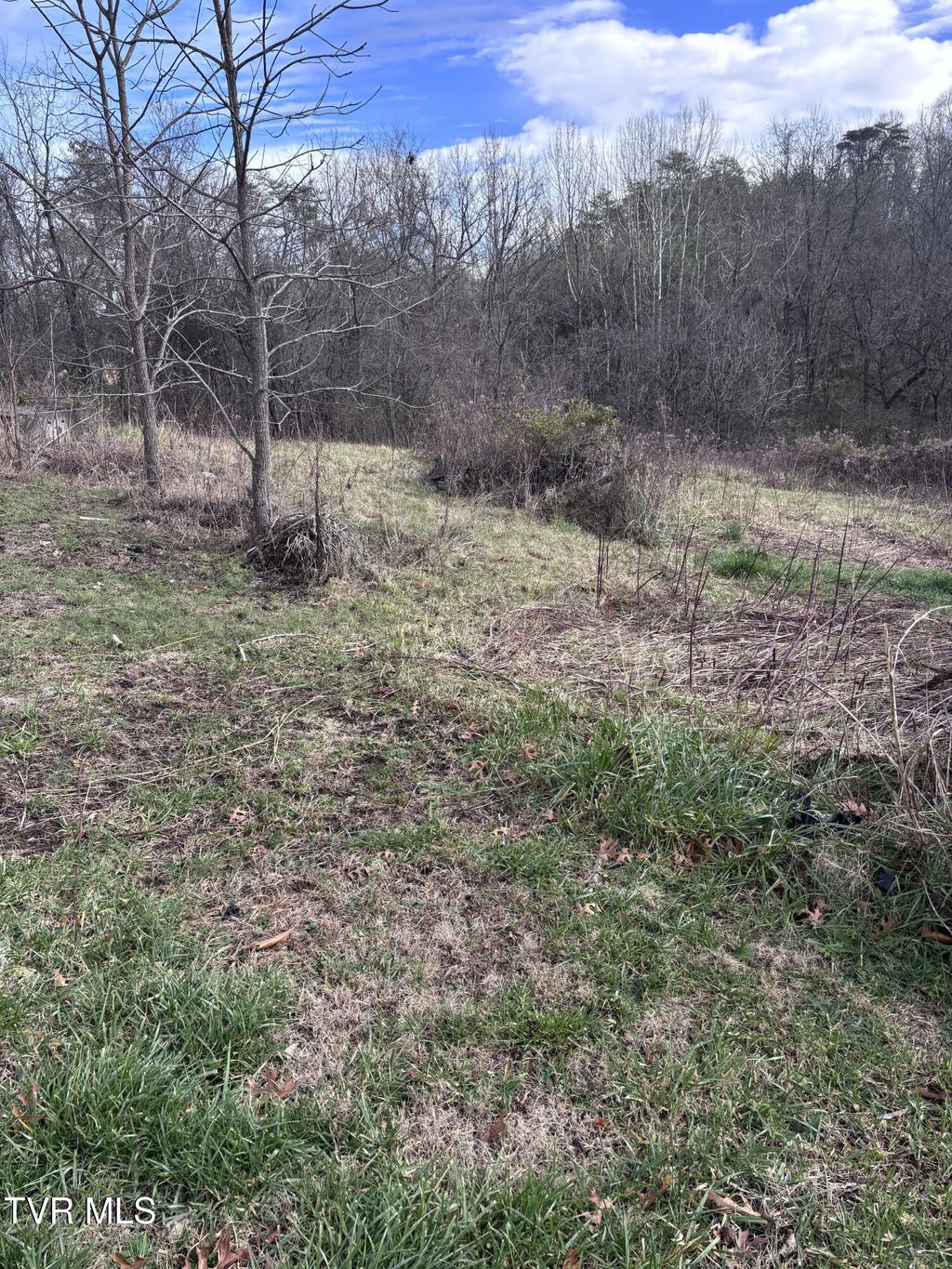 Photo of 201 Happy Valley Road, Johnson City, TN 37601 (MLS # 9989151)