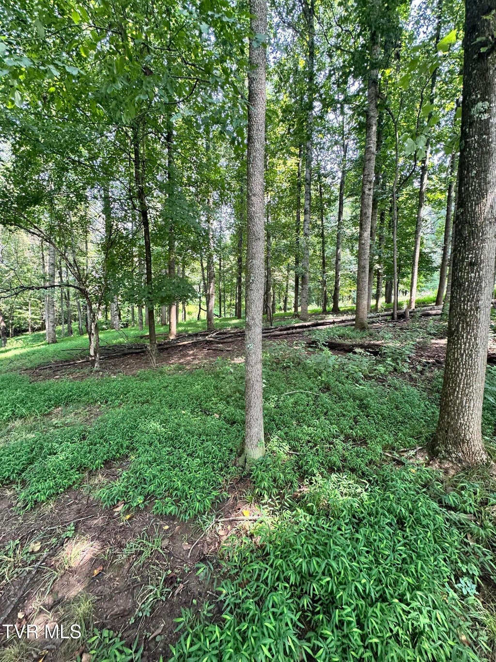 Photo of Tbd Main Street, Rogersville, TN 37857 (MLS # 9999538)