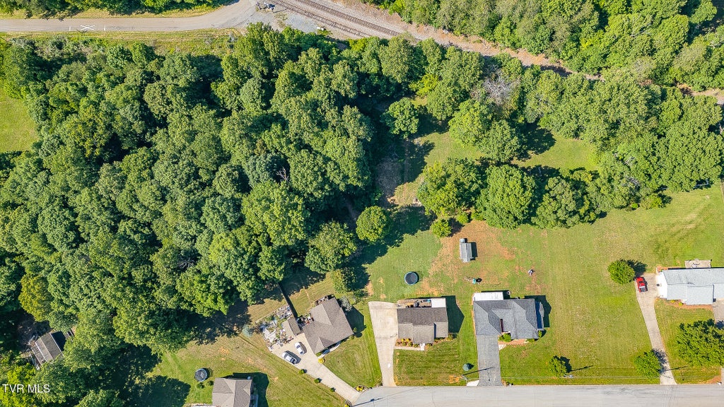 Photo of 850 Topeka Drive, Mount Carmel, TN 37645 (MLS # 9996450)