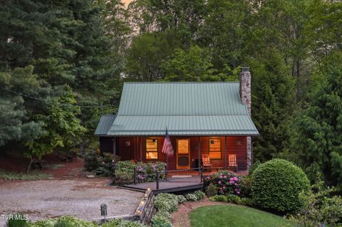 Photo of 538 Burbank Road, Roan Mountain, TN 37687 (MLS # 9994808)