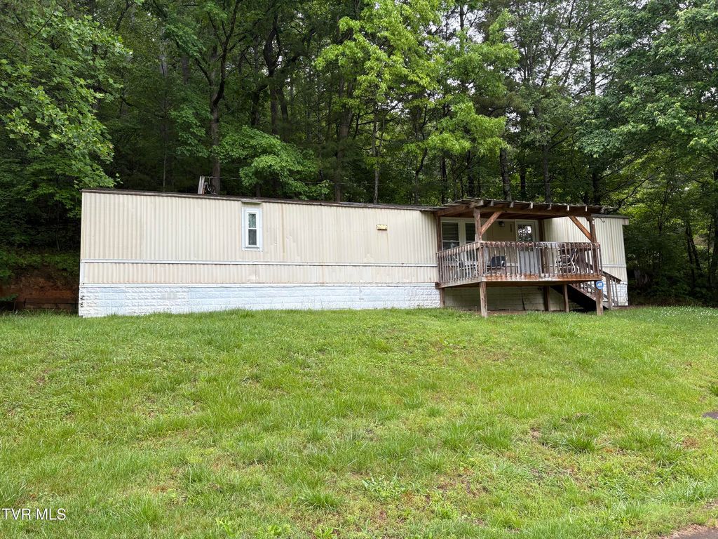Photo of 175 Union Chapel Road, Afton, TN 37616 (MLS # 9995322)