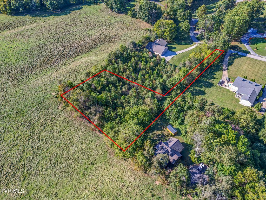 Photo of 124 Leedy Lane, Jonesborough, TN 37659 (MLS # 9993559)