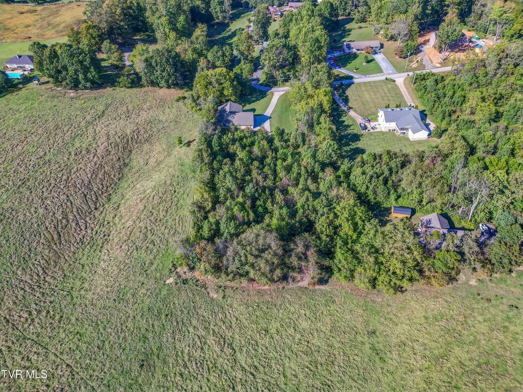 Photo of 124 Leedy Lane, Jonesborough, TN 37659 (MLS # 9993559)