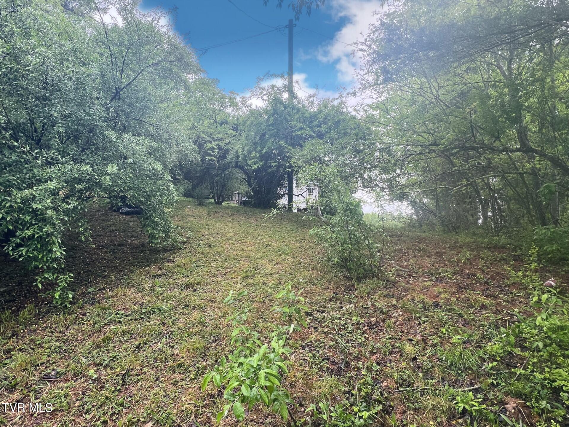 406 Cecil Street, Pennington Gap, Virginia image 13
