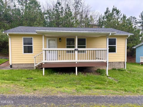 Homes For Sale - 138 Jack Rival Way<br/> Dungannon, VA 24245