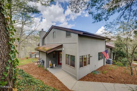 Homes For Sale - 132 Willowbrook Court<br/> Kingsport, TN 37660