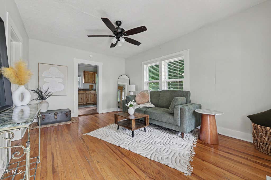 Photo of 1001 Sells Avenue, Johnson City, TN 37604 (MLS # 9997457)