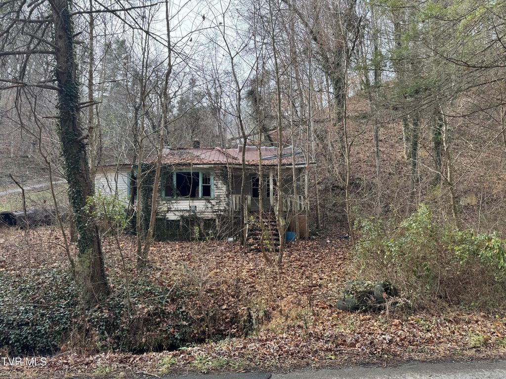 Photo of 3713 Manville Road, Gate City, VA 24251 (MLS # 9989128)