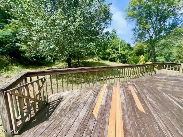50 Idell Circle, Afton, Tennessee image 7