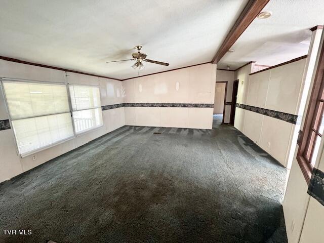 50 Idell Circle, Afton, Tennessee image 15