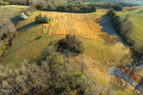 Vacant Land For Sale - LOT 1 Woodfield Road<br/> Greeneville, TN 37743