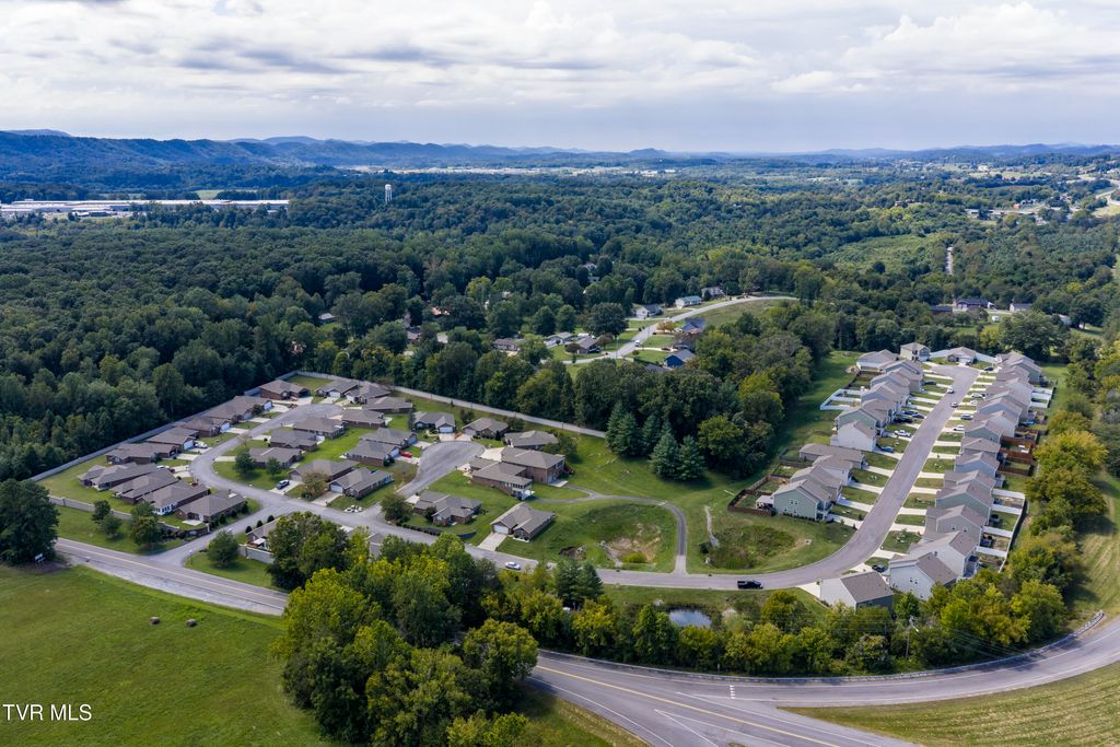 Photo of 228 Crockett Drive, Church Hill, TN 37642 (MLS # 9985298)