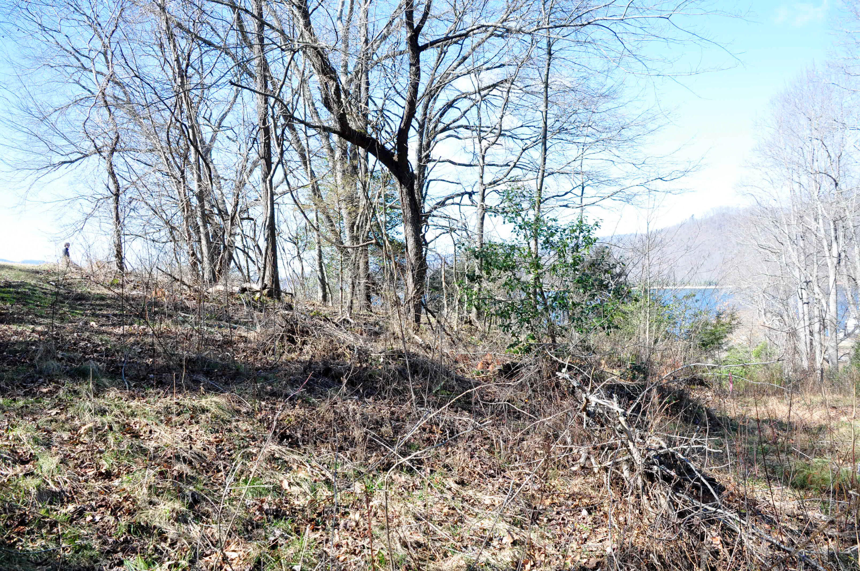 Lot 2 Harbour Point, Butler, Tennessee image 15