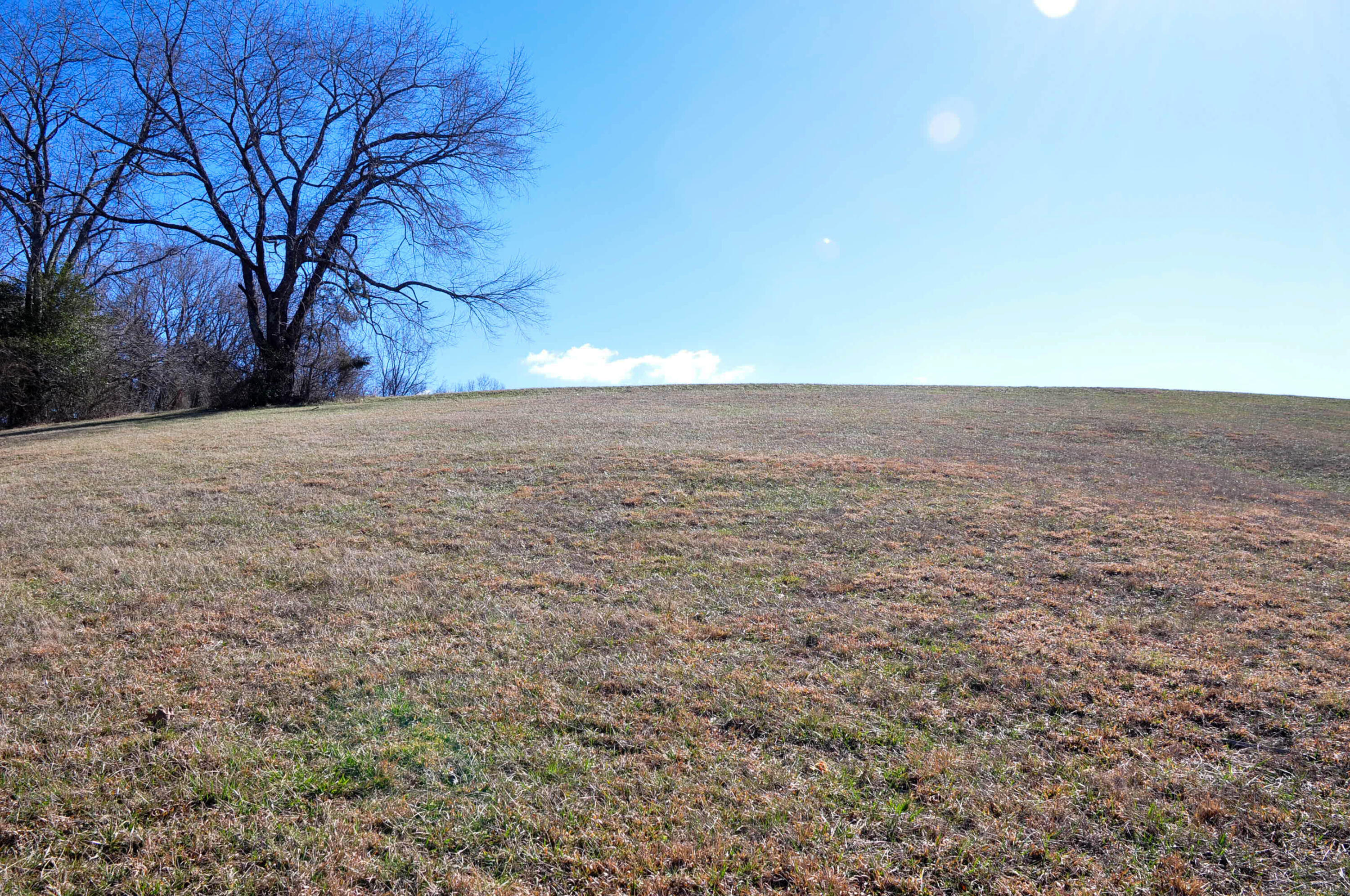 Lot 2 Harbour Point, Butler, Tennessee image 31