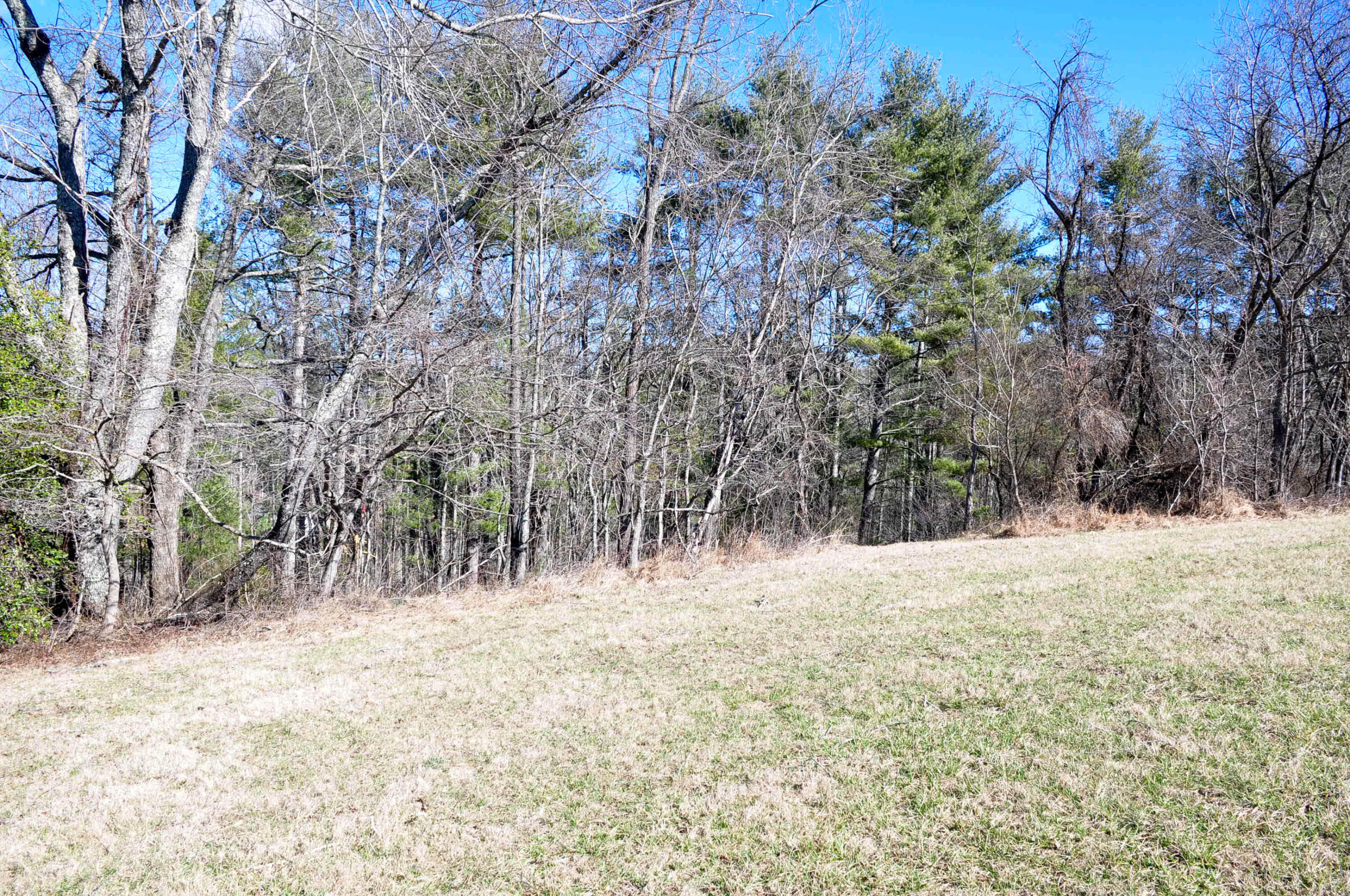 Lot 2 Harbour Point, Butler, Tennessee image 28