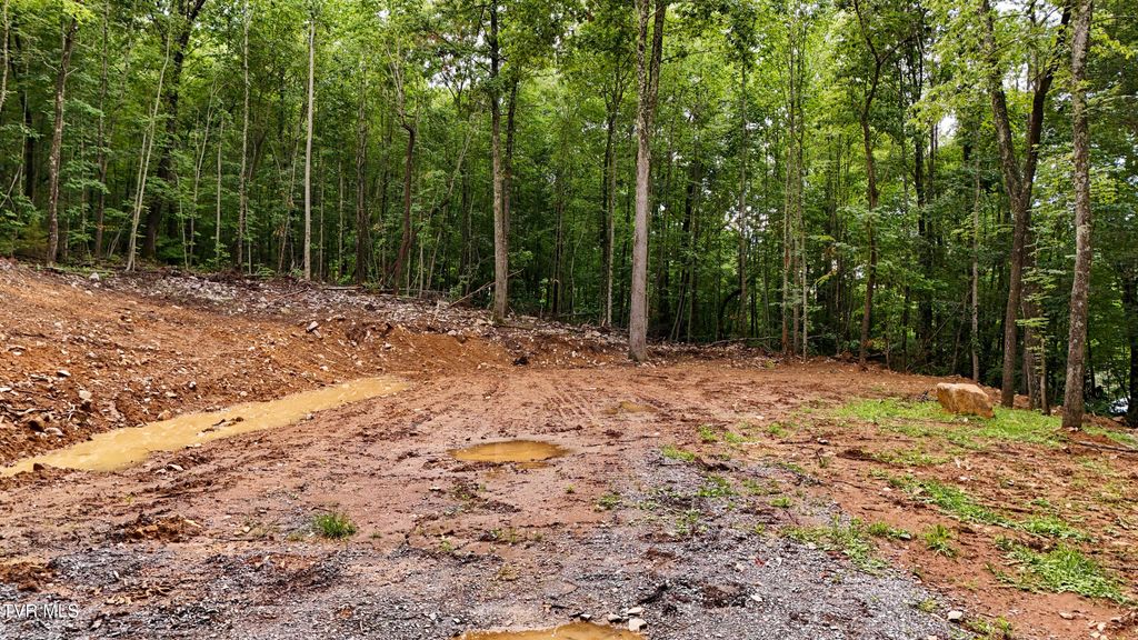 Photo of 180 Bill Nave Loop, Elizabethton, TN 37643 (MLS # 9997323)
