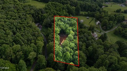 Vacant Land For Sale - 180 Bill Nave Loop<br/> Elizabethton, TN 37643