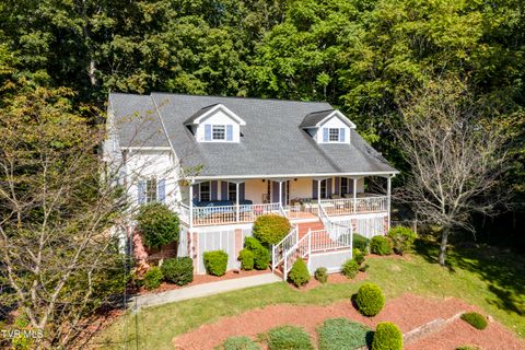 Photo of 144 Blue Bird Drive, Johnson City, TN 37601 (MLS # 9993250)