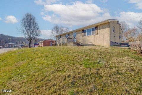 Tiny photo for 4113 Englewood Boulevard, Johnson City, TN 37601 (MLS # 9986475)