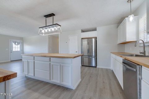 Tiny photo for 4113 Englewood Boulevard, Johnson City, TN 37601 (MLS # 9986475)