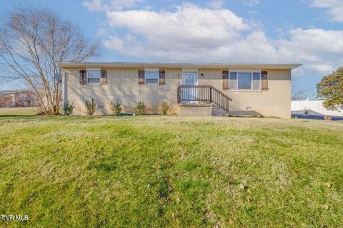 Tiny photo for 4113 Englewood Boulevard, Johnson City, TN 37601 (MLS # 9986475)