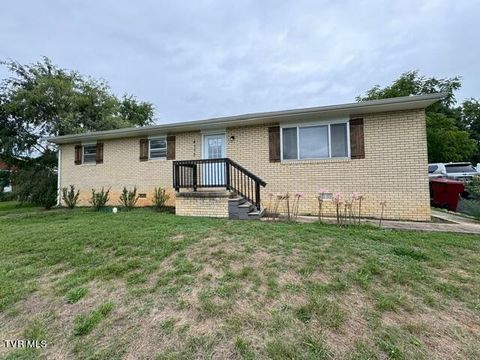 Tiny photo for 4113 Englewood Boulevard, Johnson City, TN 37601 (MLS # 9986475)