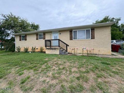 Tiny photo for 4113 Englewood Boulevard, Johnson City, TN 37601 (MLS # 9986475)