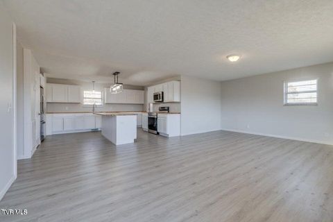 Tiny photo for 4113 Englewood Boulevard, Johnson City, TN 37601 (MLS # 9986475)