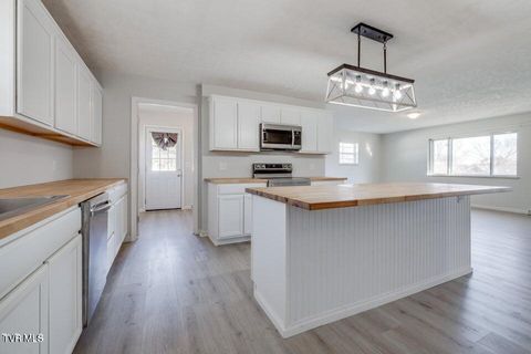 Tiny photo for 4113 Englewood Boulevard, Johnson City, TN 37601 (MLS # 9986475)