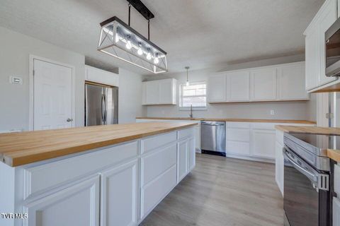 Tiny photo for 4113 Englewood Boulevard, Johnson City, TN 37601 (MLS # 9986475)