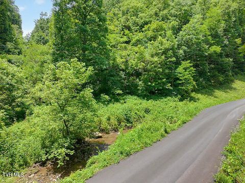 Vacant Land For Sale - TBD Heralds Valley Road<br/> Castlewood, VA 24224