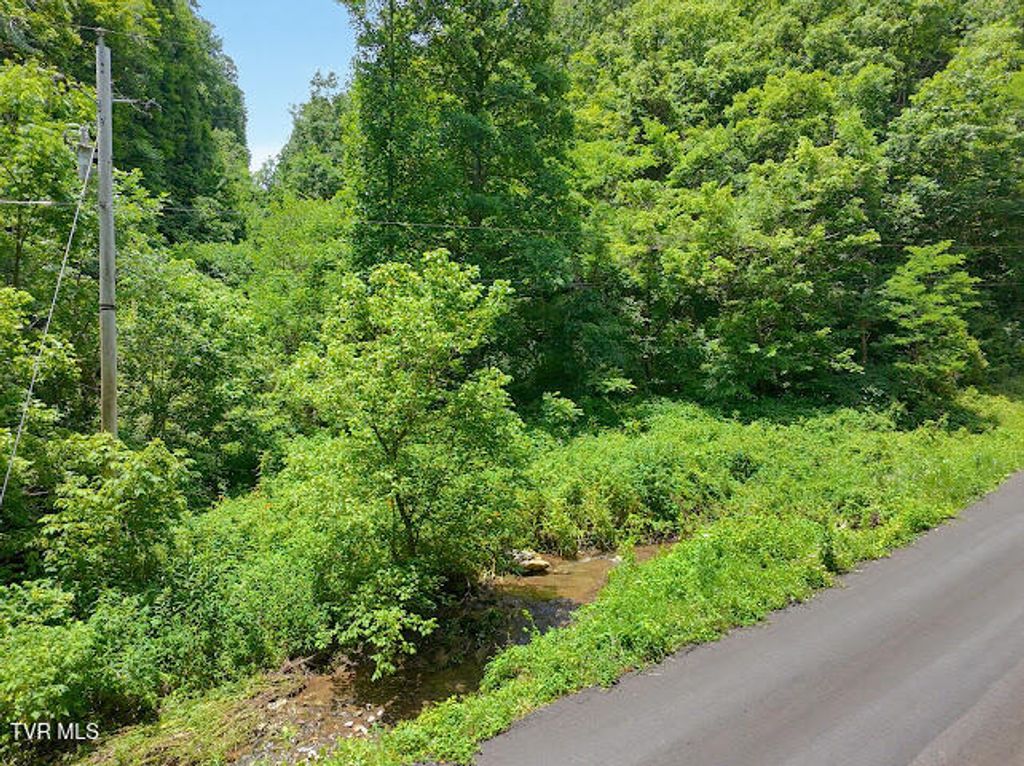 Photo of Tbd Heralds Valley Road, Castlewood, VA 24224 (MLS # 9997385)