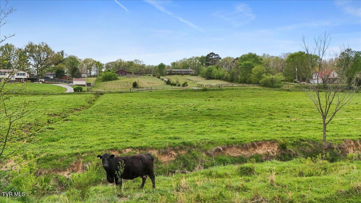 1110 Hartman Road, Greeneville, Tennessee image 9