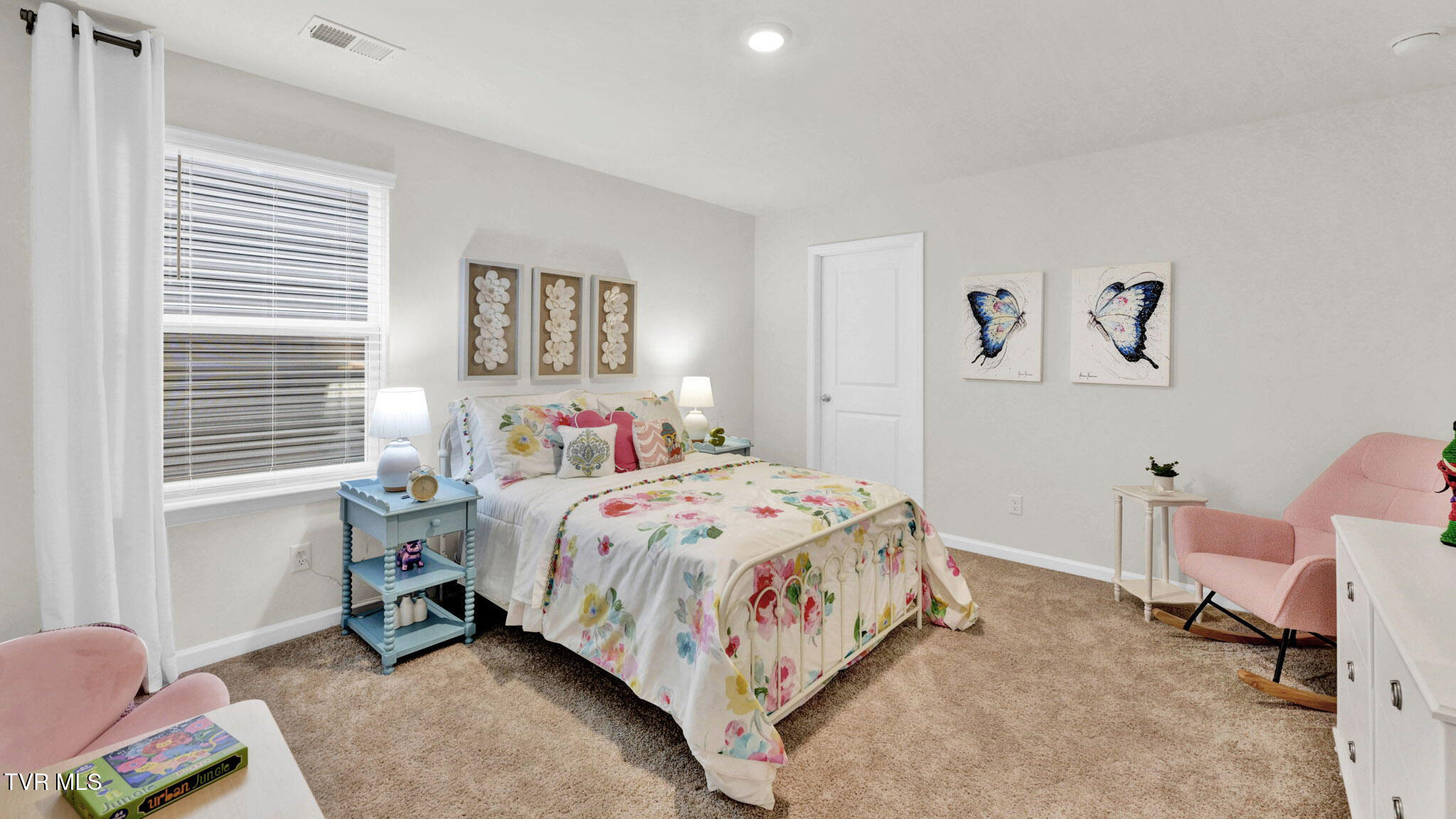 828 Pinhoti Street St, Johnson City, Tennessee image 43