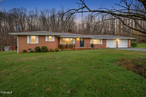 Photo of 1722 Pressmens Home Road, Rogersville, TN 37857 (MLS # 9988665)