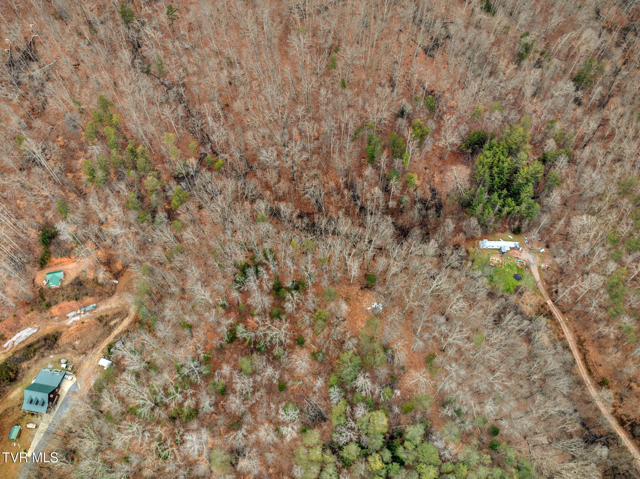 Lot 12 Moore Road, Mooresburg, Tennessee image 3