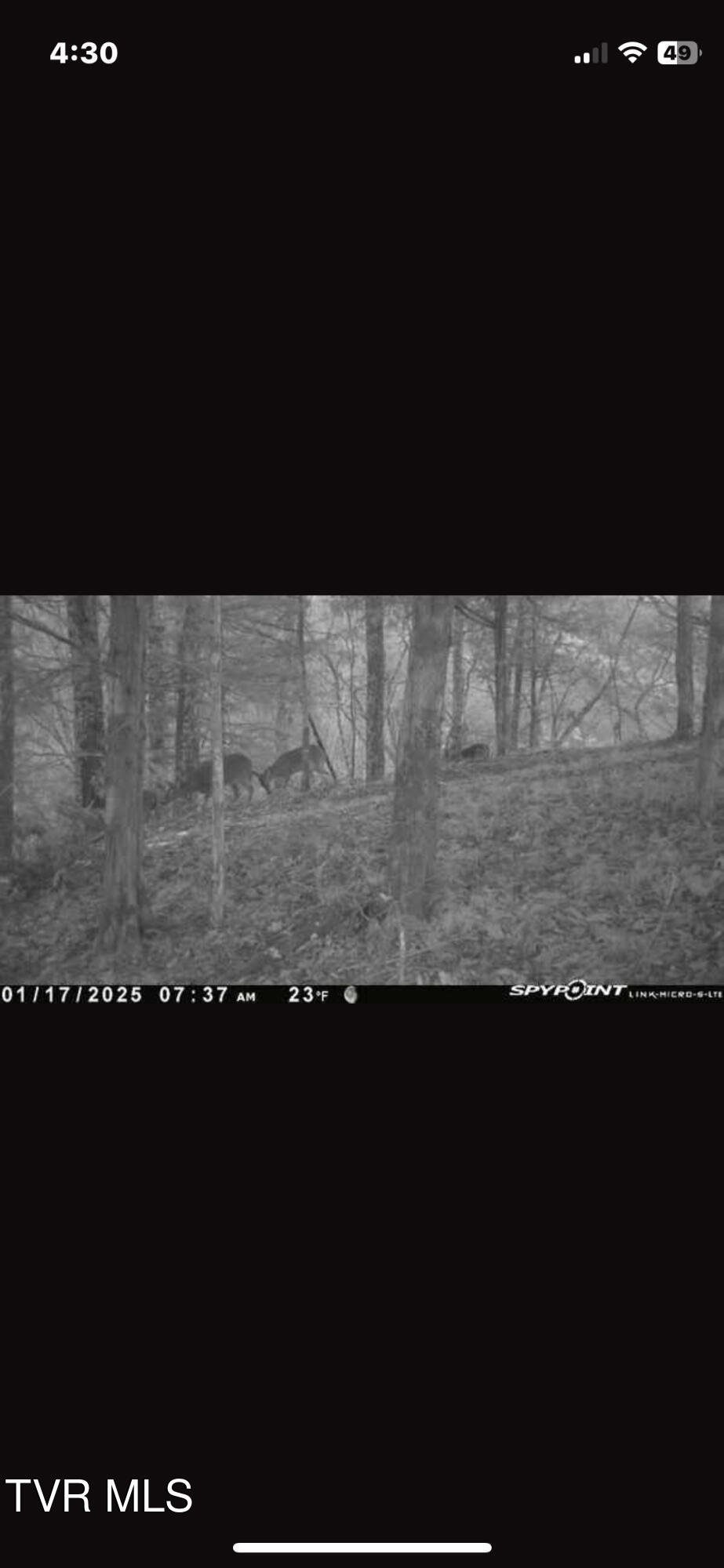 Lot 12 Moore Road, Mooresburg, Tennessee image 22