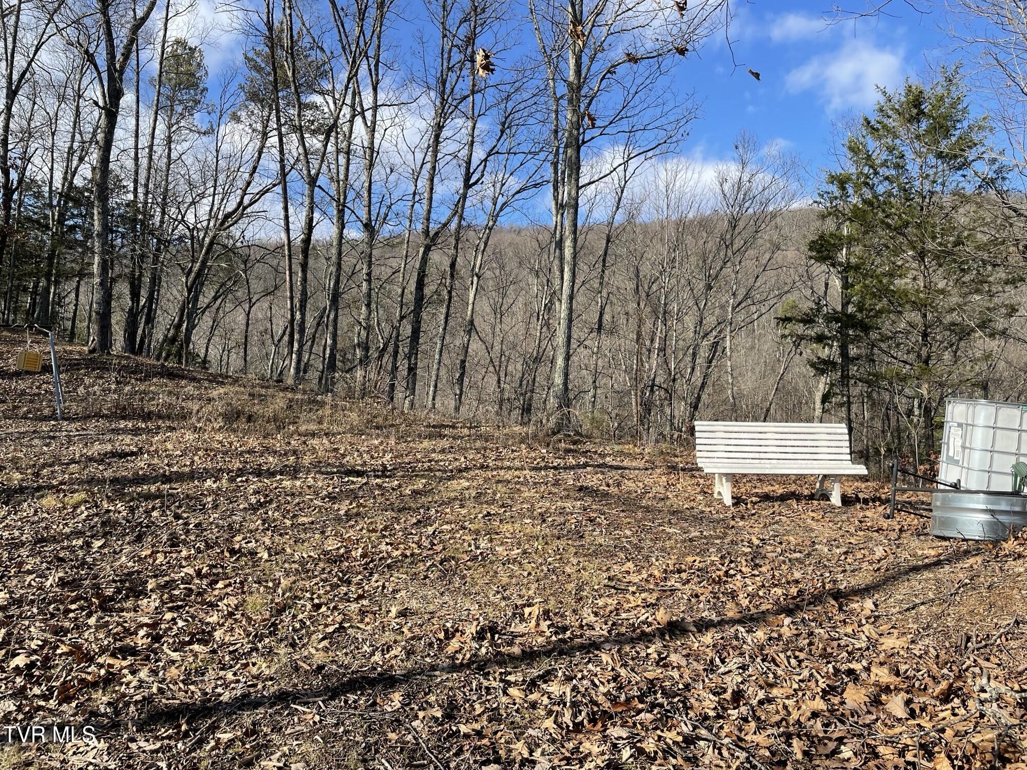Lot 12 Moore Road, Mooresburg, Tennessee image 19